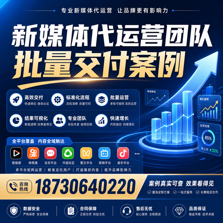 林芝代运营公司多客户账号批量高效交付案例